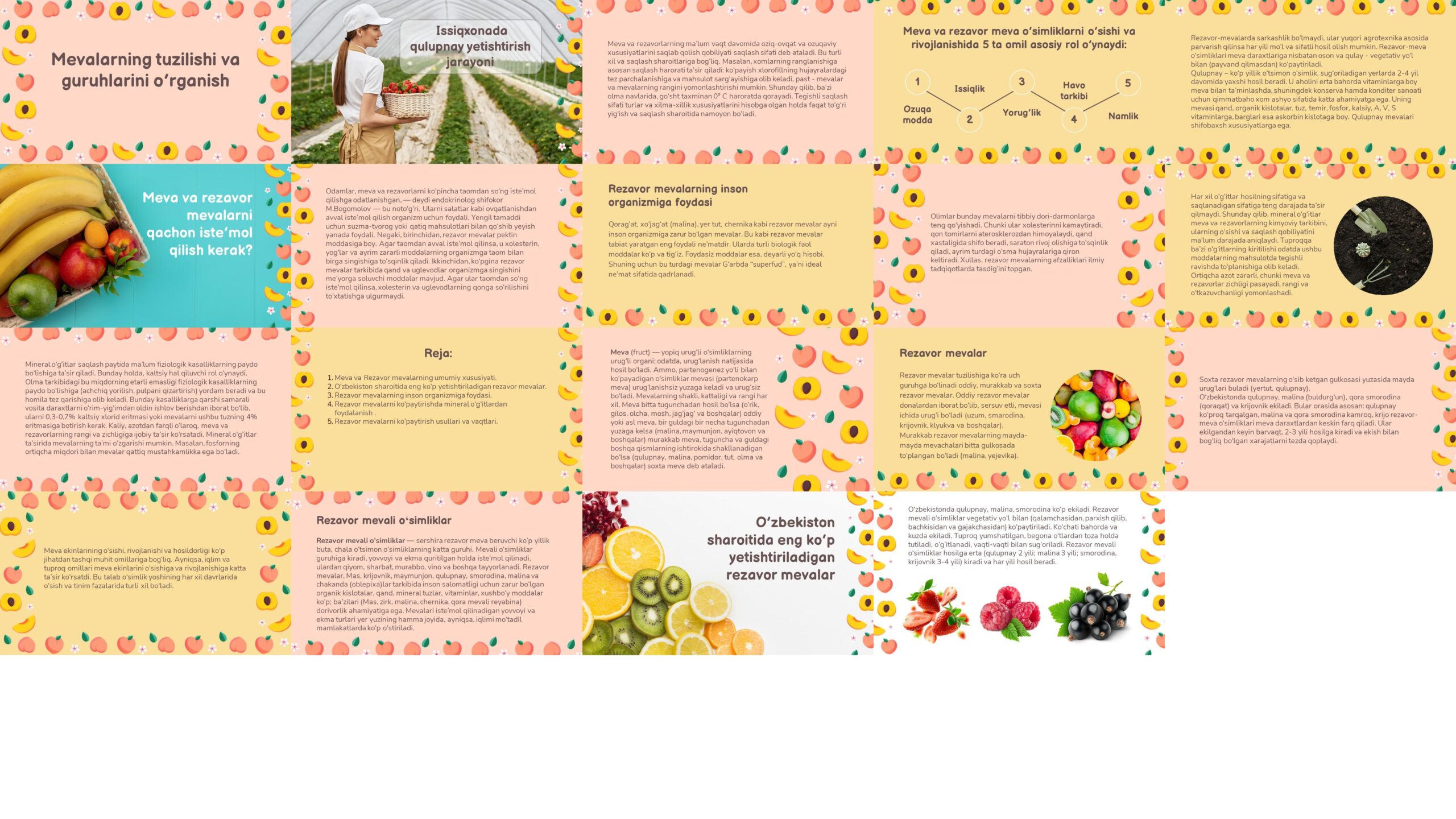 Mevalarning-tuzilishi-va-guruhlarini-o’rganish