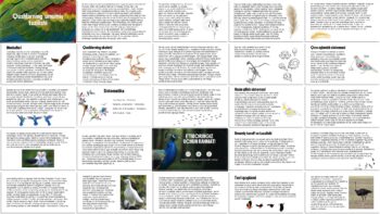 Qushlarning umumiy tuzilishi