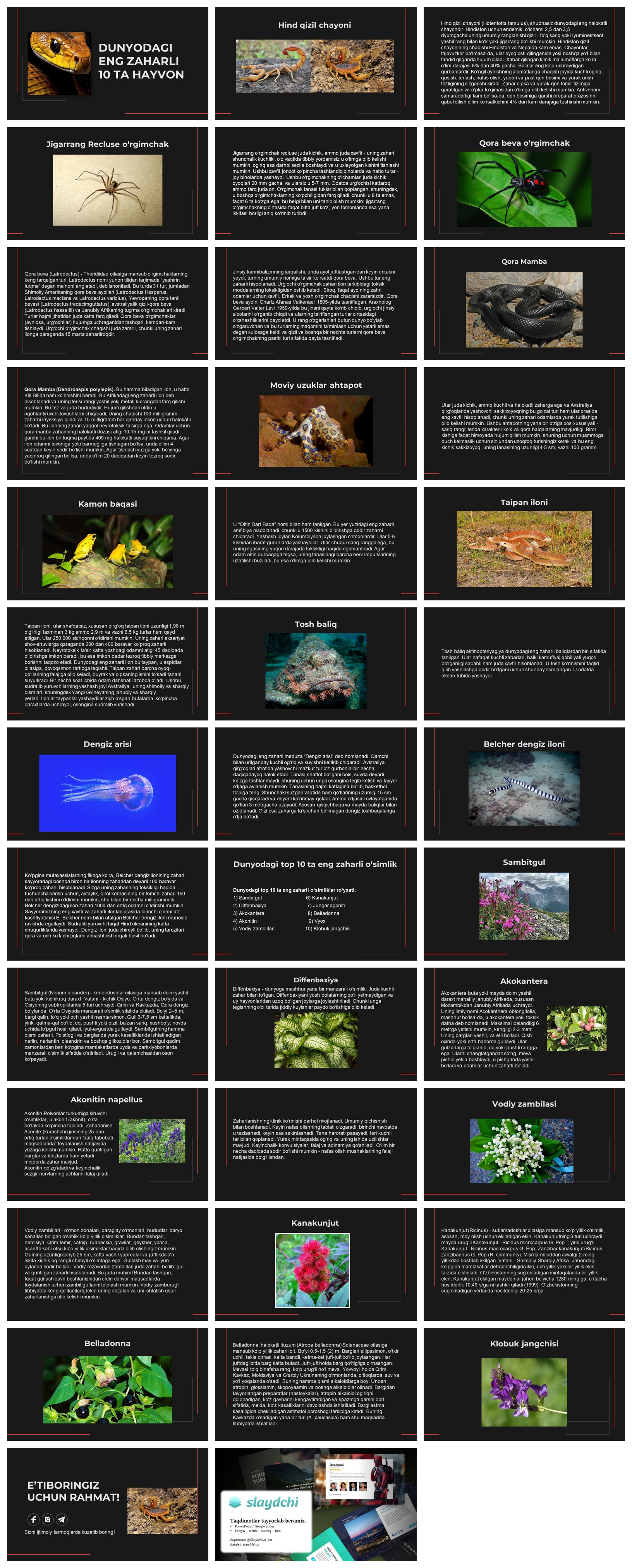 DUNYODAGI-ENG-ZAHARLI-10-TA-HAYVON