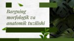 BARGNING MORFOLOGIK VA ANATOMIK TUZILISHI_001