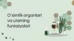 O‘SIMLIK ORGANLARI VA ULARNING FUNKSIYALARI_001