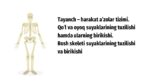 TAYANCH – HARAKAT A’ZOLAR TIZIMI. QO‘L VA OYOQ SUYAKLARINING TUZILISHI HAMDA ULARNING BIRIKISHI_001