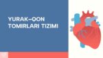 YURAK–QON TOMIRLARI TIZIMI_001