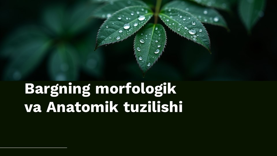 Bargning morfologik va Anatomik tuzilishi_aks