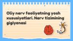 Oliy nerv faoliyatning yosh xususiyatlari Nerv tizimining gigiyenasi_aks