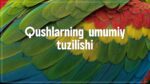 Qushlarning umumiy tuzilishi_aks