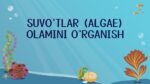 SUVO‘TLAR (ALGAE) OLAMINI O‘RGANISH_aks