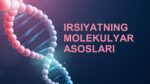 IRSIYATNING MOLEKULYAR ASOSLARI-main-slaydchi