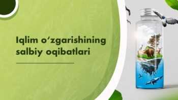 Iqlim o‘zgarishining salbiy oqibatlari