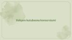 Konsorsium va YEIFL tarmog'i