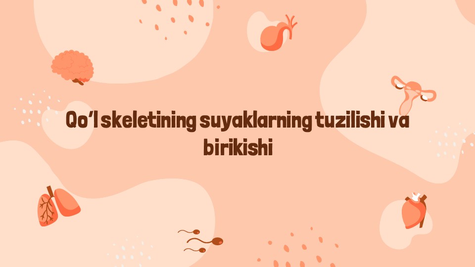 Qo‘l skeleti suyaklari tuzilishi va birikishi_main Qo‘l skeleti suyaklari tuzilishi va birikishi