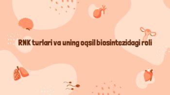 RNK turlari va oqsil biosintezidagi roli