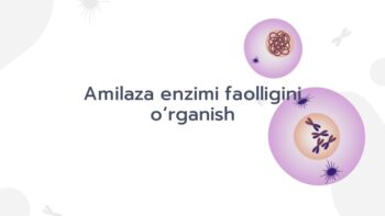 Amilaza enzimi faolligini o‘rganish