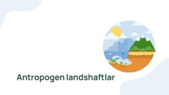 Antropogen landshaftlar turlari va xususiyatlari