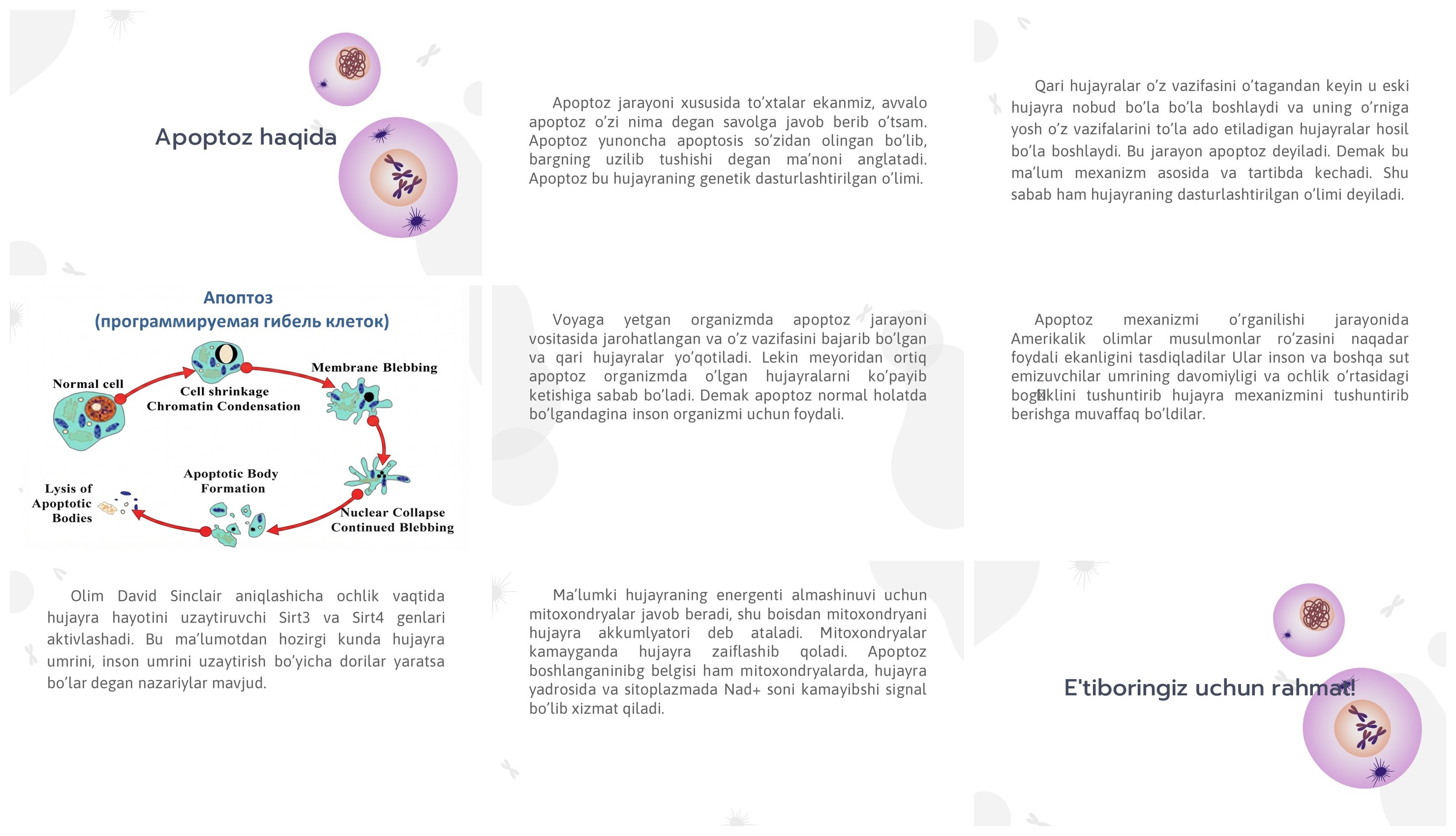 Apoptoz jarayoni va hujayra o'limi