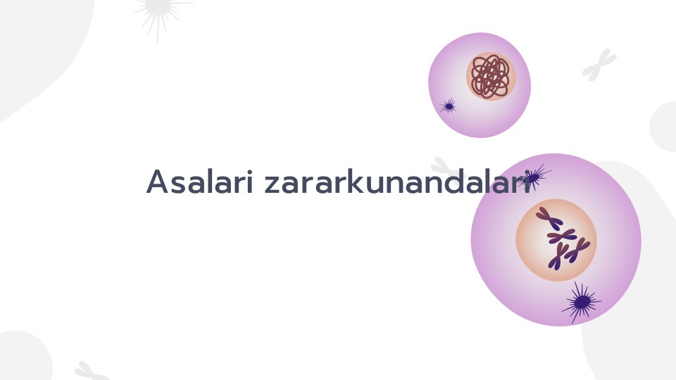 Asalari Zararkunandalari va Himoya Usullari_main Asalari Zararkunandalari va Himoya Usullari