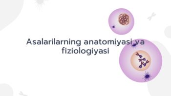 Asalarilar anatomiyasi va fiziologiyasi ovqat hazm qilish