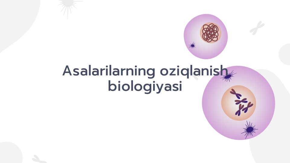Asalarilarning Oziqlanish Biologiyasi_main Asalarilarning Oziqlanish Biologiyasi