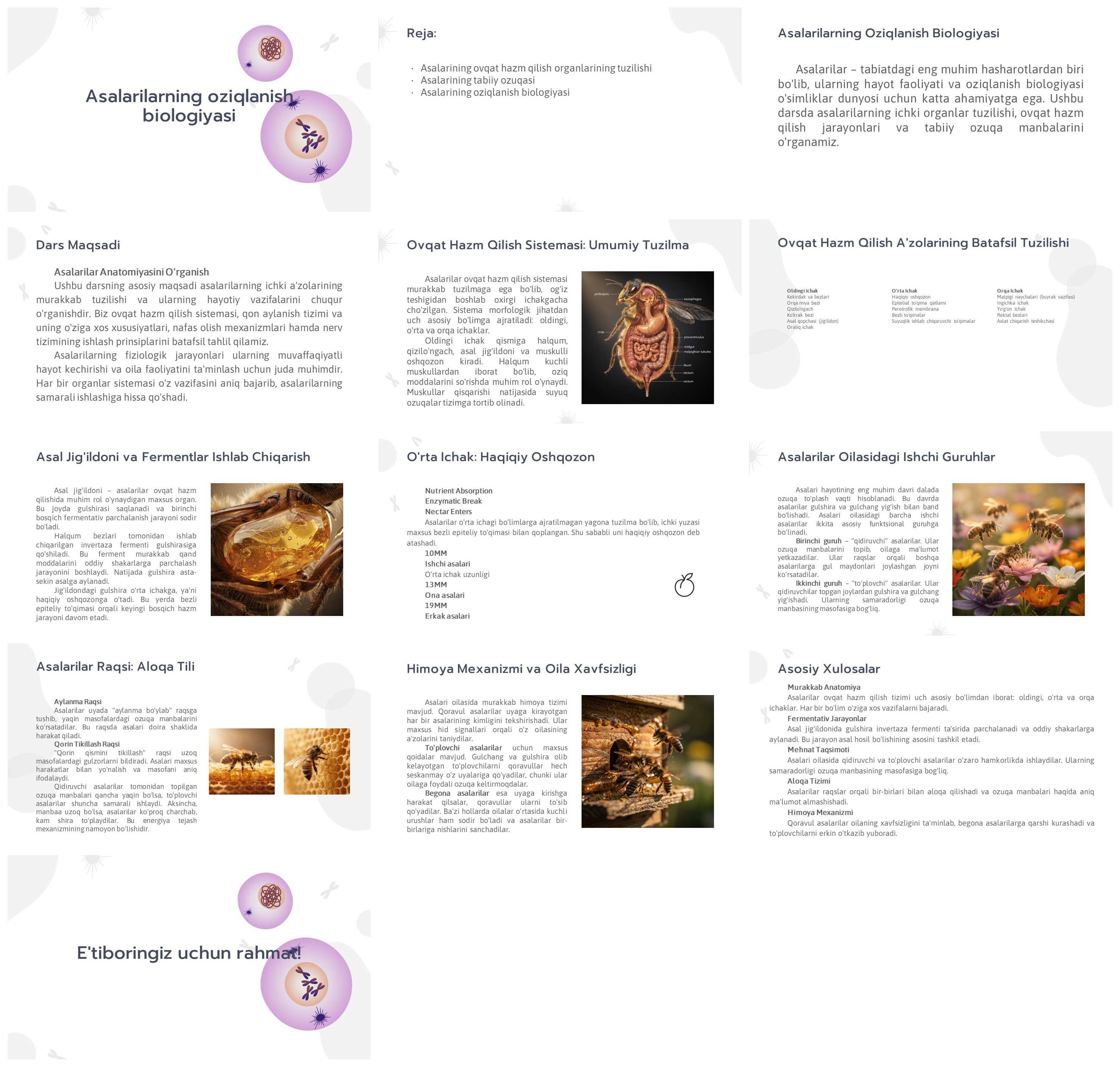 Asalarilarning Oziqlanish Biologiyasi