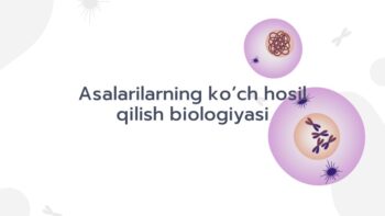 Asalarilarning ko'ch hosil qilish biologiyasi