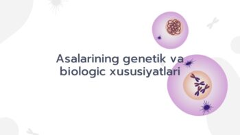 Asalarining genetik va biologik xususiyatlari