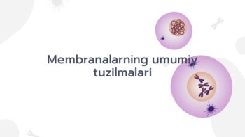 Biologik membranalar tuzilishi va funksiyalari