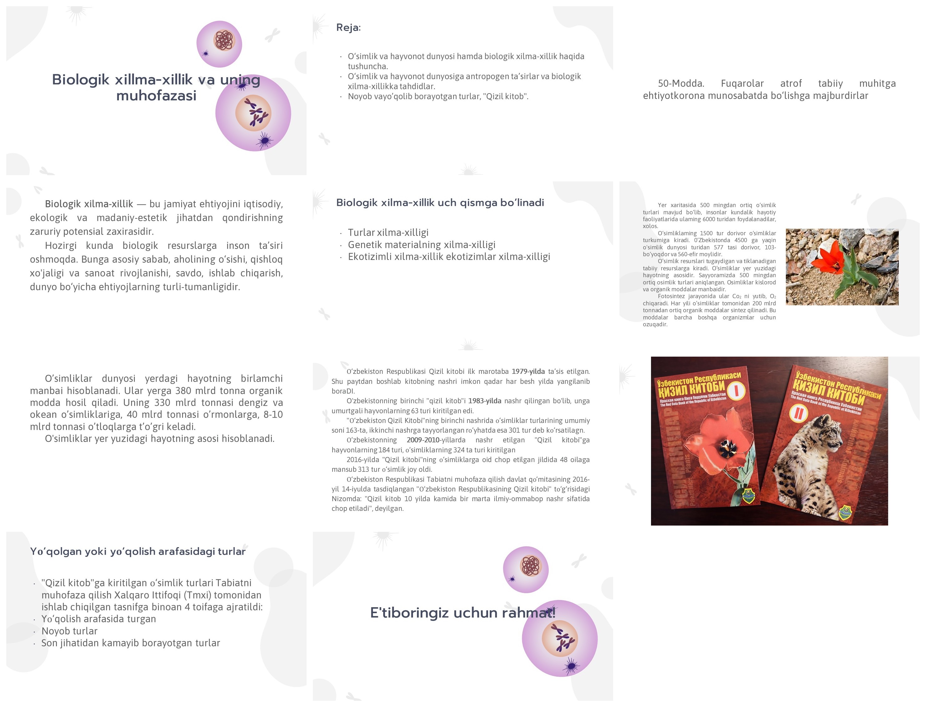 Biologik xilma-xillik va uning muhofazasi