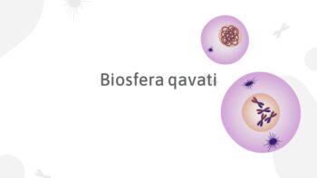 Biosfera qavati haqida umumiy tushuncha