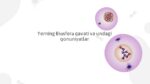 Biosfera qavati va undagi qonuniyatlar