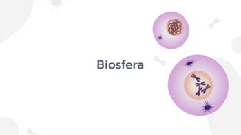 Biosfera va moddalar aylanishi