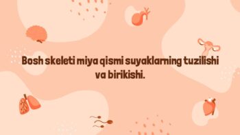 Bosh miya tuzilishi va vazifalari