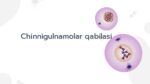 Chinnigulnamolar qabilasi va oilalari