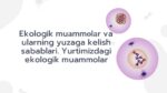 Ekologik muammolar va ularning sabablari