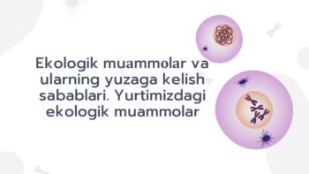 Ekologik muammolar va ularning sabablari