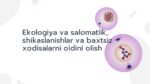 Ekologiya va salomatlik, shikaslanishlar oldini olish