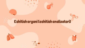 Eshitish organi va uning ahamiyati