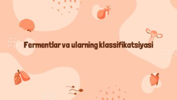 Fermentlar va ularning klassifikatsiyasi