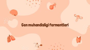 Gen muhandisligi fermentlari va ularning roli