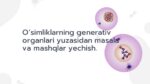 Generativ organlar masala va mashqlar yechish