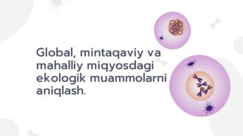 Global mintaqaviy va mahalliy ekologik muammolar