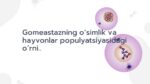 Gomeastazning populyatsiyadagi o‘rni_main