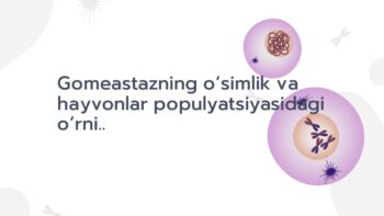 Gomeastazning populyatsiyadagi o‘rni