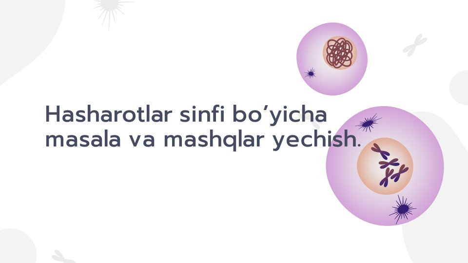 Hasharotlar sinfi masala va mashqlar yechish_main Hasharotlar sinfi masala va mashqlar yechish
