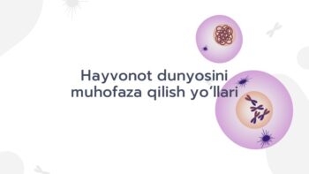 Hayvonot dunyosini muhofaza qilish yo'llari