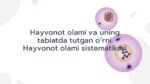Hayvonot olami sistematikasi va tabiatdagi o'rni