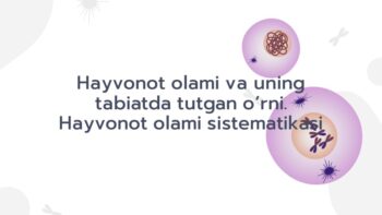 Hayvonot olami sistematikasi va tabiatdagi o'rni