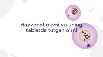 Hayvonot olami va uning tabiatdagi o'rni