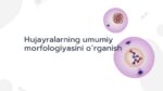 Hujayra morfologiyasi va nazariyasi