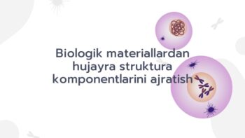 Hujayra struktura komponentlarini ajratish usullari