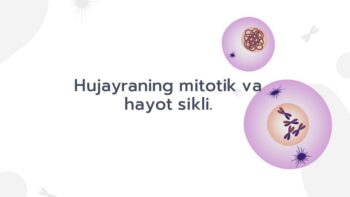 Hujayraning mitotik va hayot sikli